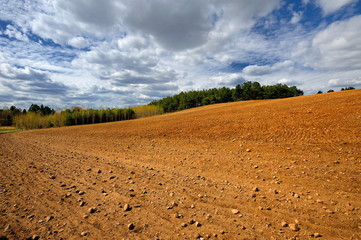 Krajobraz wiejski, Morawy, Czechy, zaorane pole © janmiko