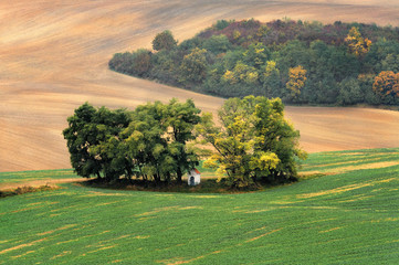 Krajobraz wiejski, Morawy, Czechy