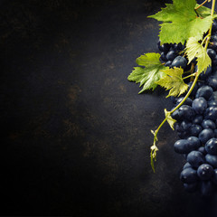 Grapes © Natalia Klenova