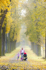 mother and her daughter with a pram on walk in autumnal alley
