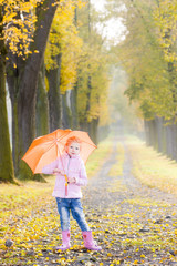 Obraz premium little girl with umbrella in autumnal alley