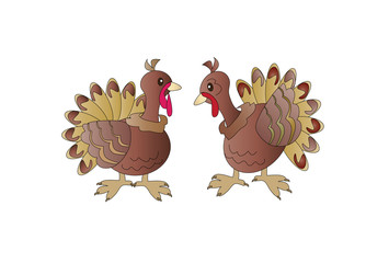 Two turkeys