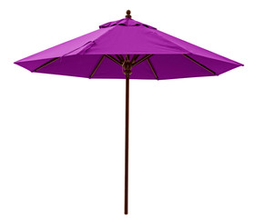 Purple beach umbrella