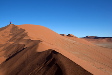 Fototapeta na wymiar Namibia dune nel deserto rosso