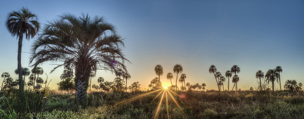 Fototapeta na wymiar Sunrise on El Palmar National Park, Argentina