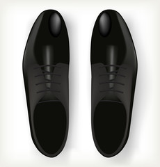 Pair of men's shoes in classic style.
