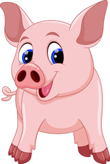 Cute pig cartoon