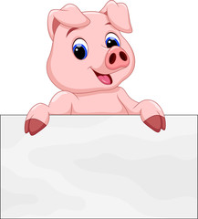 cute pig with a white background board