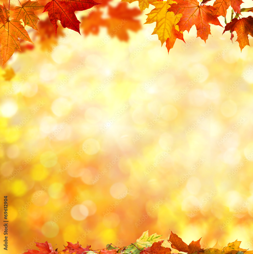 Canvas Prints autumn background
