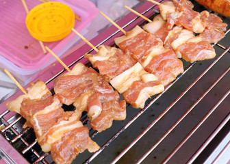 grilled pork on grill