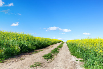 Way of nature in spring