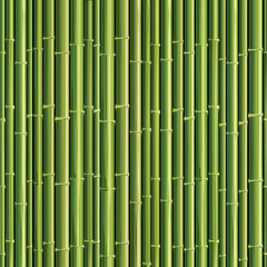 bamboo seamless texture