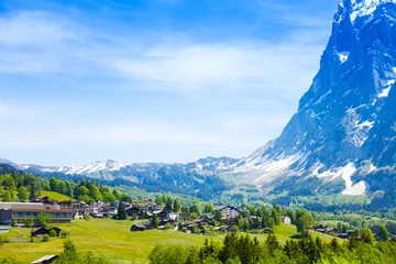 Foto op Canvas Beautiful view of Grindelwald Alps in Switzerland © Sergey Novikov