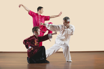 Lange Faust Style,Kung Fu Lehrer und Jungen