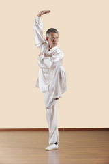 Lange Faust Style,Kung Fu Lehrer und Jungen