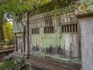 Fototapeta na wymiar カンボジア アンコール遺跡群 ベンメリア