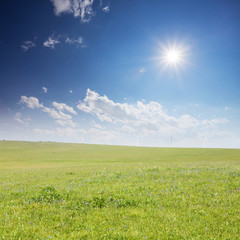 Obraz premium grass field under sunshine