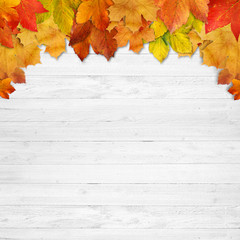 Background  Autumn with wooden planks