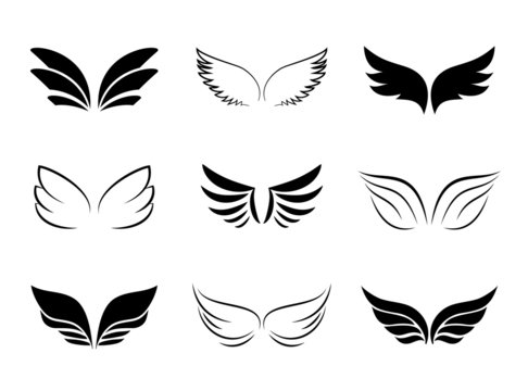 Different Wing Designs