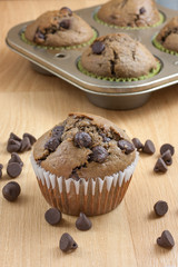 Chocolate Chocolate Chip Muffins