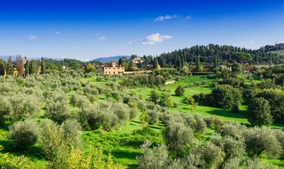 Fototapeta na wymiar Landscape of Tuscany, Florence - Italy