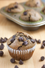 Chocolate Chocolate Chip Muffins