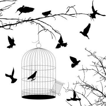 Birds and cage silhouettes
