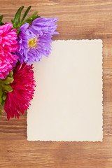 Freshly cut asters on wooden background