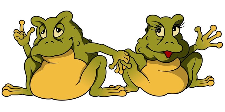 Frog Couple