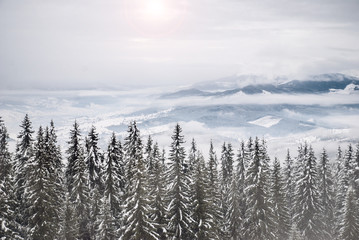 Evening winter landscape