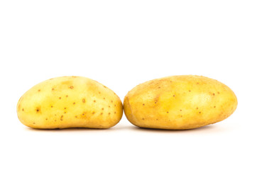 Potato