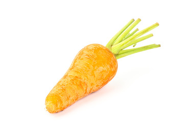 Carrot