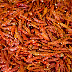 red dried chili