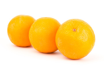 Navel orange fruit