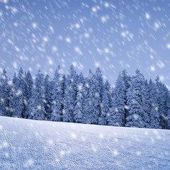 Schneeflocken vor Wald