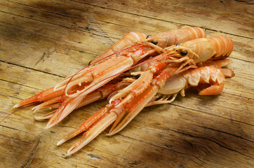 Nephrops norvegicus Kaisergranat Langoustine Scampo Škamp