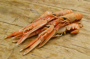Nephrops norvegicus Sjøkreps Homarzec Scampi Langostino