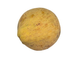 Santol fruit