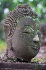 Ancient Head Buddha statue in Wat Umong at Chiangmai