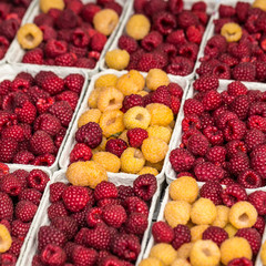 Red and yellow raspberries in boxes at local farm market