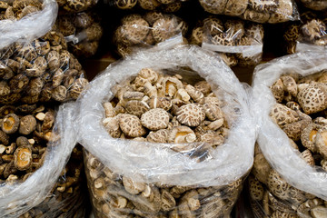 collection of dried shiitake mushrooms