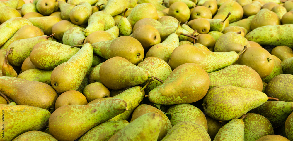 Sticker Closeup of just picked pears