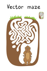 Vector Maze, Labyrinth with Marmot.