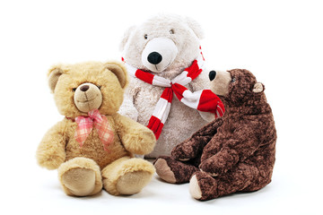 teddy bears on white background