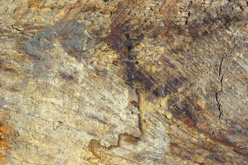 wood texture