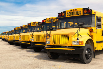 school buses - obrazy, fototapety, plakaty