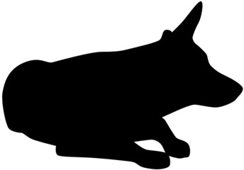 Naklejka premium Hund