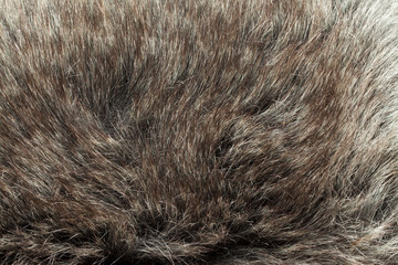 Luxurious wool texture.