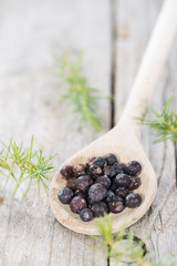 Juniper Berries