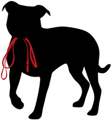 Fototapeta premium Hund